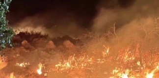 Nebo Mountain Fire in Gillespie County burns over 1K acres