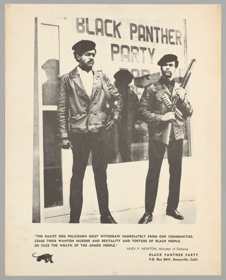 The Black Panthers Who Never Came Home The Black Panthers Who Never Came Home