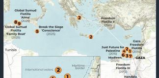 US Journalists on Aid Flotillas Allege Israeli Soldier Abuse