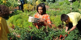 Food Used to Be Democrats’ Territory. What Happened?