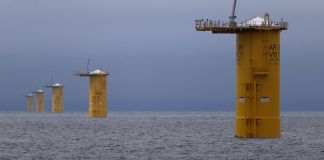 Judge strikes down Trump’s order blocking wind farm approvals