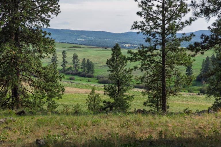 How One Woman Is Stalling Green Energy Projects in Oregon How One Woman Is Stalling Green Energy Projects in Oregon