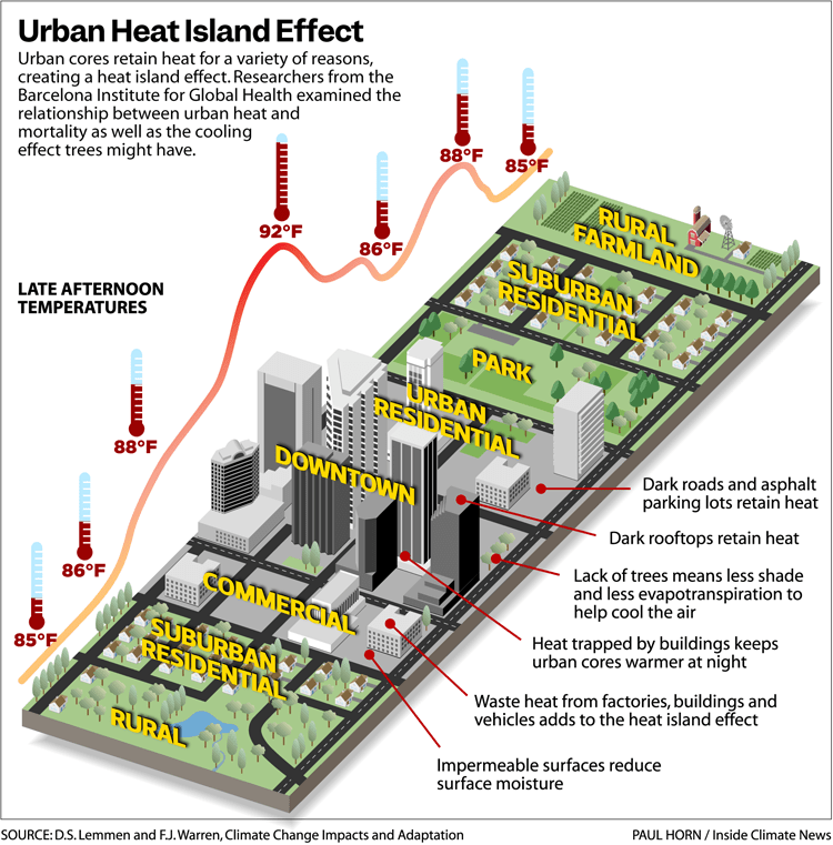 Broiled by Heat Waves, Residents of the Concrete Jungle Suffer – Inside Climate News Broiled by Heat Waves, Residents of the Concrete Jungle Suffer – Inside Climate News