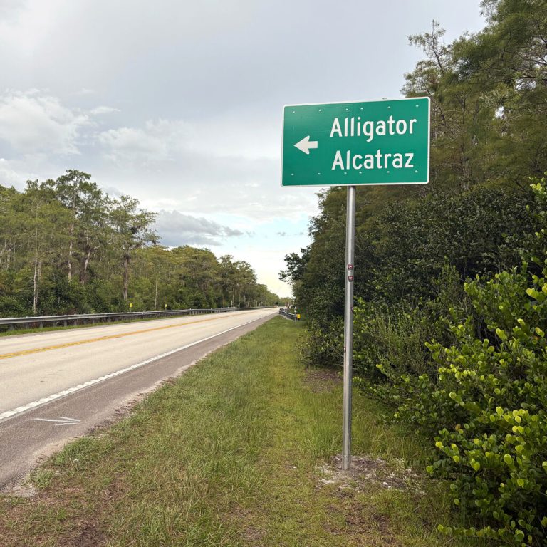 To Florida’s Miccosukee Tribe, the Lands Around Alligator Alcatraz Are Sacred, Pythons and All – Inside Climate News To Florida’s Miccosukee Tribe, the Lands Around Alligator Alcatraz Are Sacred, Pythons and All – Inside Climate News