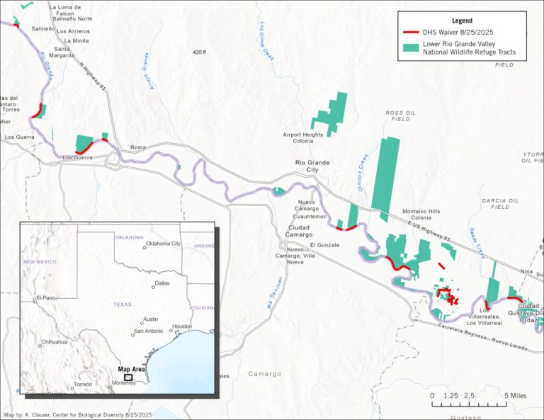 Environmental Laws Waived to Build Border Wall in Texas Wildlife Refuge – Inside Climate News Environmental Laws Waived to Build Border Wall in Texas Wildlife Refuge – Inside Climate News