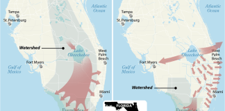 Now in its 25th Year, a Historic Effort to Save the Everglades Evolves as the Climate Warms – Inside Climate News