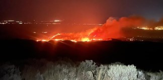 An Idaho Bird Research Station Rises From the Ashes of a Wildfire – Inside Climate News