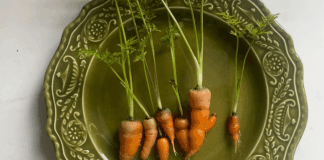 As Countries Take Steps to Protect Wildlife in Legal Trade, Animal and Plant Trafficking Rages On – Inside Climate News