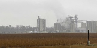 California Pays Farms to Make Biogas from Hog Waste in North Carolina, Where Locals Say It’s Fueling Pollution – Inside Climate News