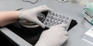 Trump Policies at Odds With Emerging Understanding of Covid’s Long-Term Harm – KFF Health News