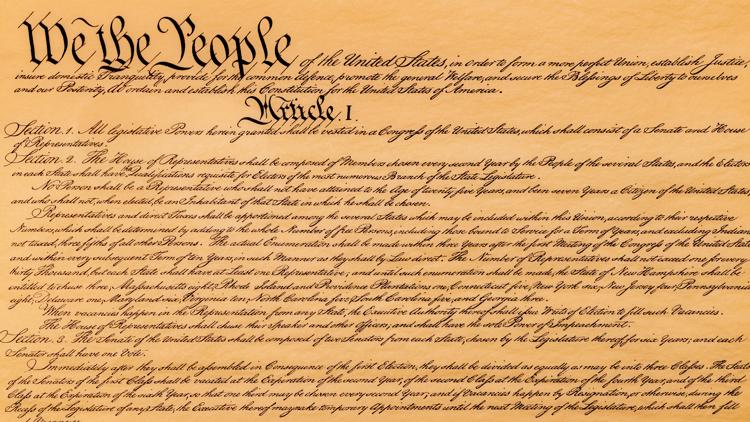 Online users spot missing constitutional protections in government website glitch Online users spot missing constitutional protections in government website glitch