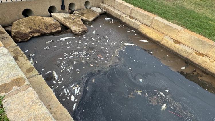Dozens of dead fish found at a North Texas lake; cause under investigation Dozens of dead fish found at a North Texas lake; cause under investigation