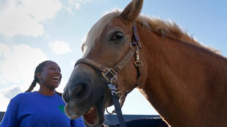 Saddle Up: 8 great places to go horseback riding around DFW Saddle Up: 8 great places to go horseback riding around DFW