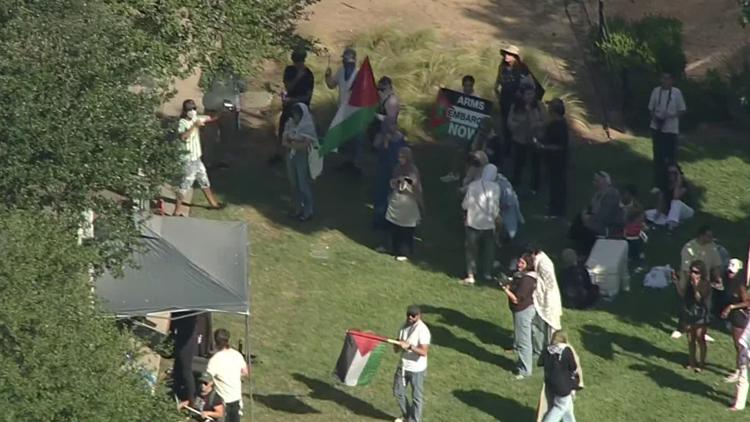 Multiple protesters detained after they ‘gained access into a building’ in Dallas, police say Multiple protesters detained after they ‘gained access into a building’ in Dallas, police say