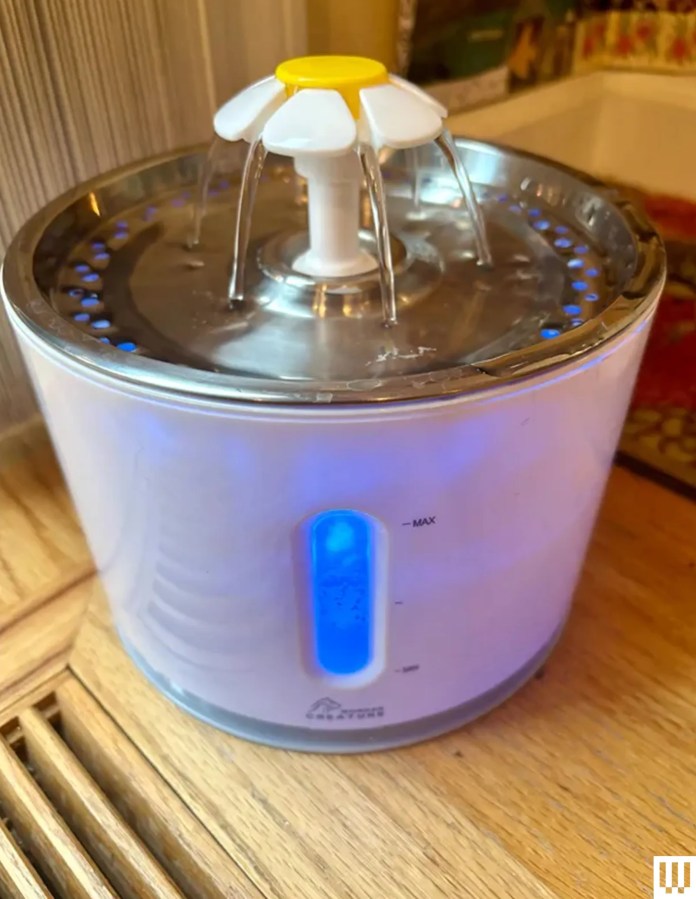 Your Cat Probably Isn’t Drinking Enough Water. A Fountain Can Help.