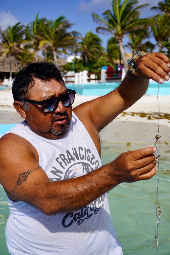 On Mexico’s Caribbean Coast, There’s Lobster for the Tourists and Microplastics for Everyone Else