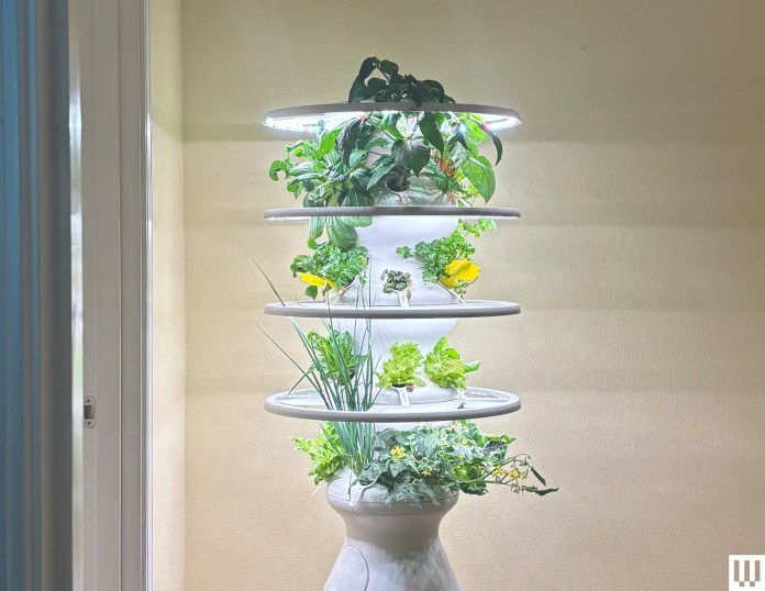 Lettuce Grow’s Indoor Farmstand Is Perfect, Except for a Few Bugs (Literally)