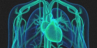 A Gene Editing Therapy Cut Cholesterol Levels by Half