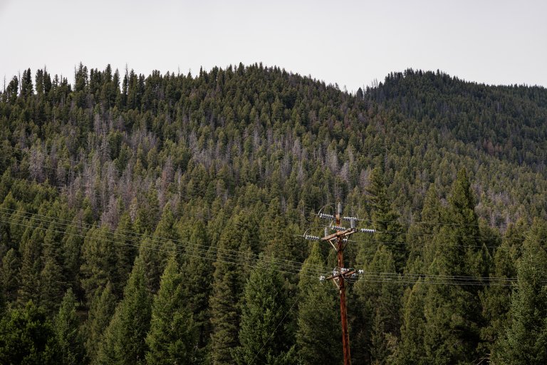 Smartwatch leads search and rescue crews to site of fatal plane crash in Montana Smartwatch leads search and rescue crews to site of fatal plane crash in Montana