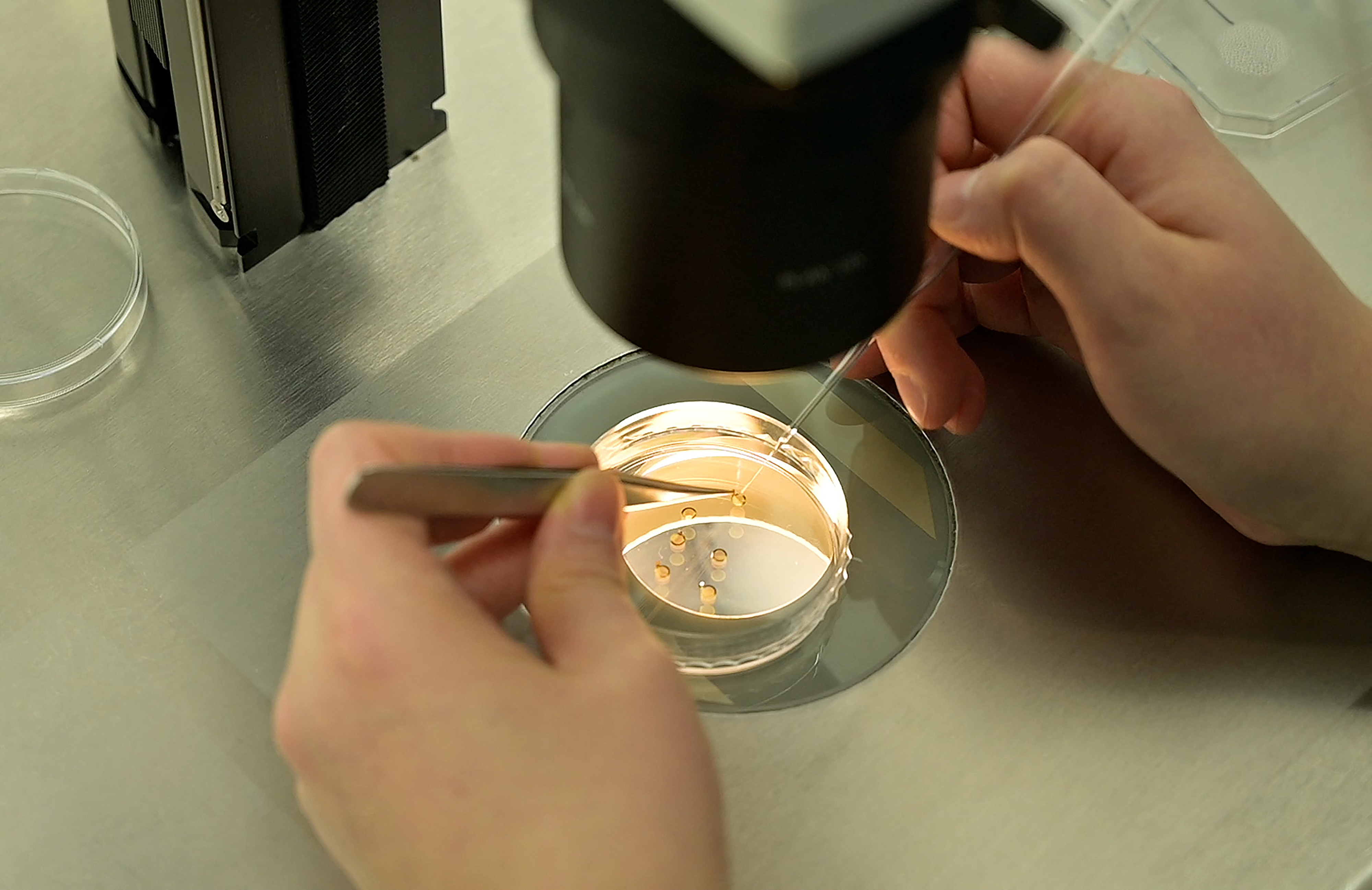 What’s the best age for a woman to freeze her eggs? Doctors weigh in | FROUSA NEWS