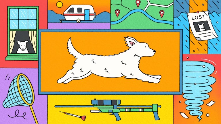 How to Save a Dog How to Save a Dog