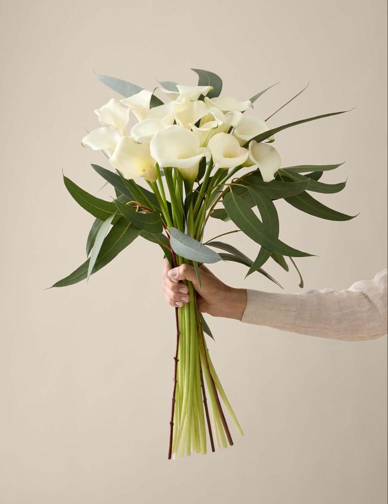 Enjoy 20% Off All Flowers and Plants at M&S – Limited Time Only – Our Culture Enjoy 20% Off All Flowers and Plants at M&S – Limited Time Only – Our Culture
