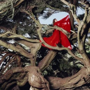 Hannah Frances Announces New Album ‘Nested in Tangles’, Unveils New Song – Our Culture Hannah Frances Announces New Album ‘Nested in Tangles’, Unveils New Song – Our Culture