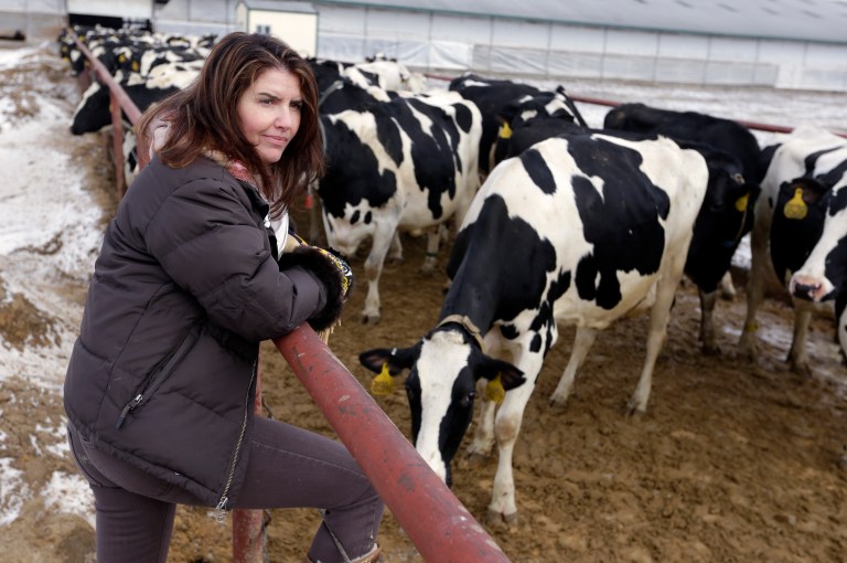 The terrifying reality behind one of America’s fastest-growing dairy brands The terrifying reality behind one of America’s fastest-growing dairy brands