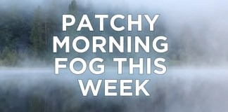Fog, warmth, and weekend cold front