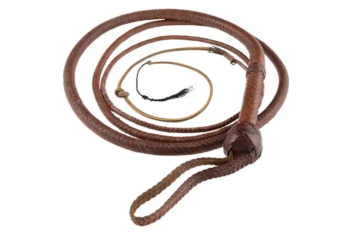 Indiana Jones whip snaps up 5,000 at auction after ‘Citizen Kane’ sled goes for .75 million | FROUSA Media Indiana Jones whip snaps up 5,000 at auction after ‘Citizen Kane’ sled goes for .75 million | FROUSA Media