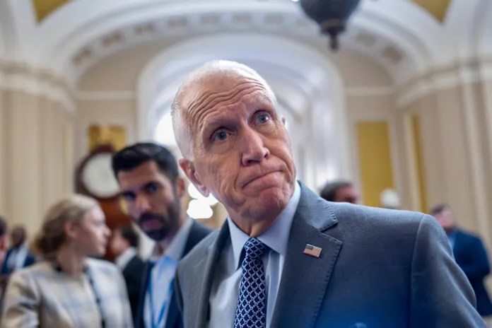 RNC Chairman Michael Whatley plans to run for Senate in North Carolina, with Trump’s backing