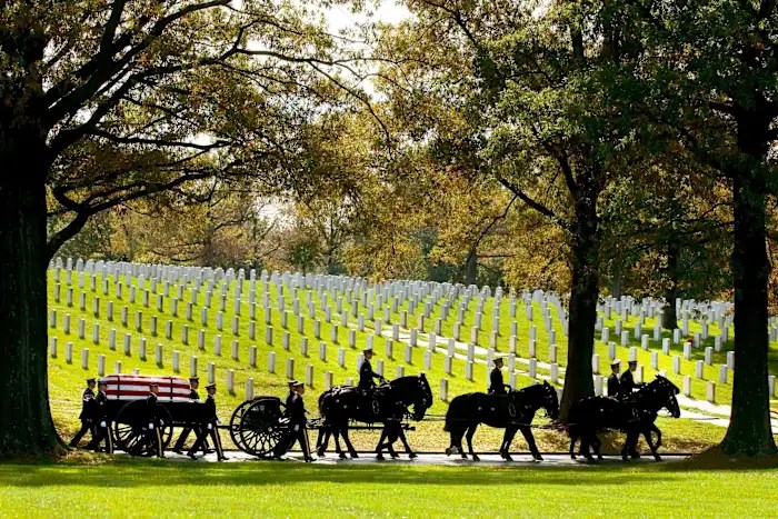 Army will end most of its ceremonial horse programs and adopt out the animals Army will end most of its ceremonial horse programs and adopt out the animals