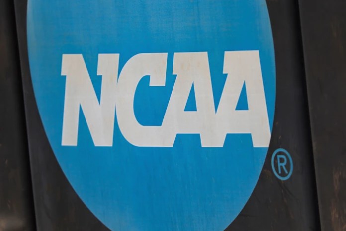 Former NCAA players and fixers charged over rigged basketball games, prosecutors say Former NCAA players and fixers charged over rigged basketball games, prosecutors say