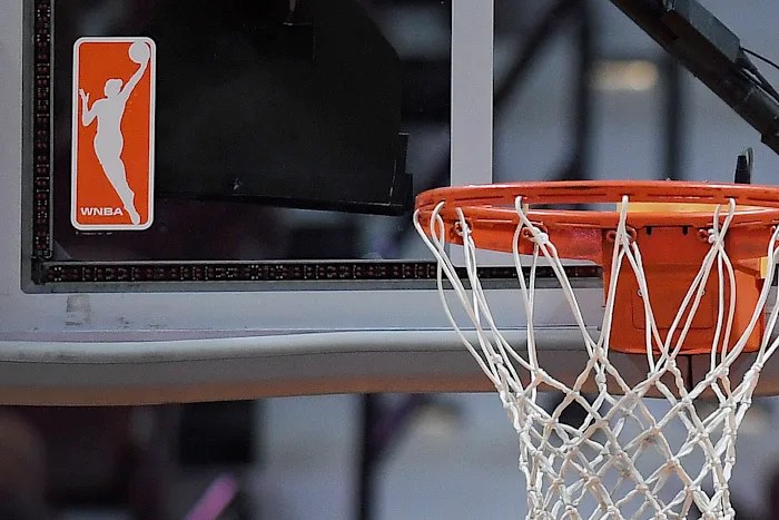 Man arrested for WNBA sex-toy throwing at Liberty game, the 3rd arrest in string of disturbances Man arrested for WNBA sex-toy throwing at Liberty game, the 3rd arrest in string of disturbances