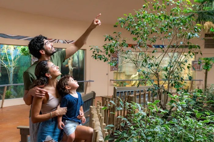 Admission to the San Antonio Zoo is on Thursday for Locals Day Admission to the San Antonio Zoo is on Thursday for Locals Day