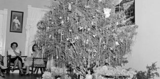 Oak or cedar christmas trees? – Sophienburg Museum and Archives
