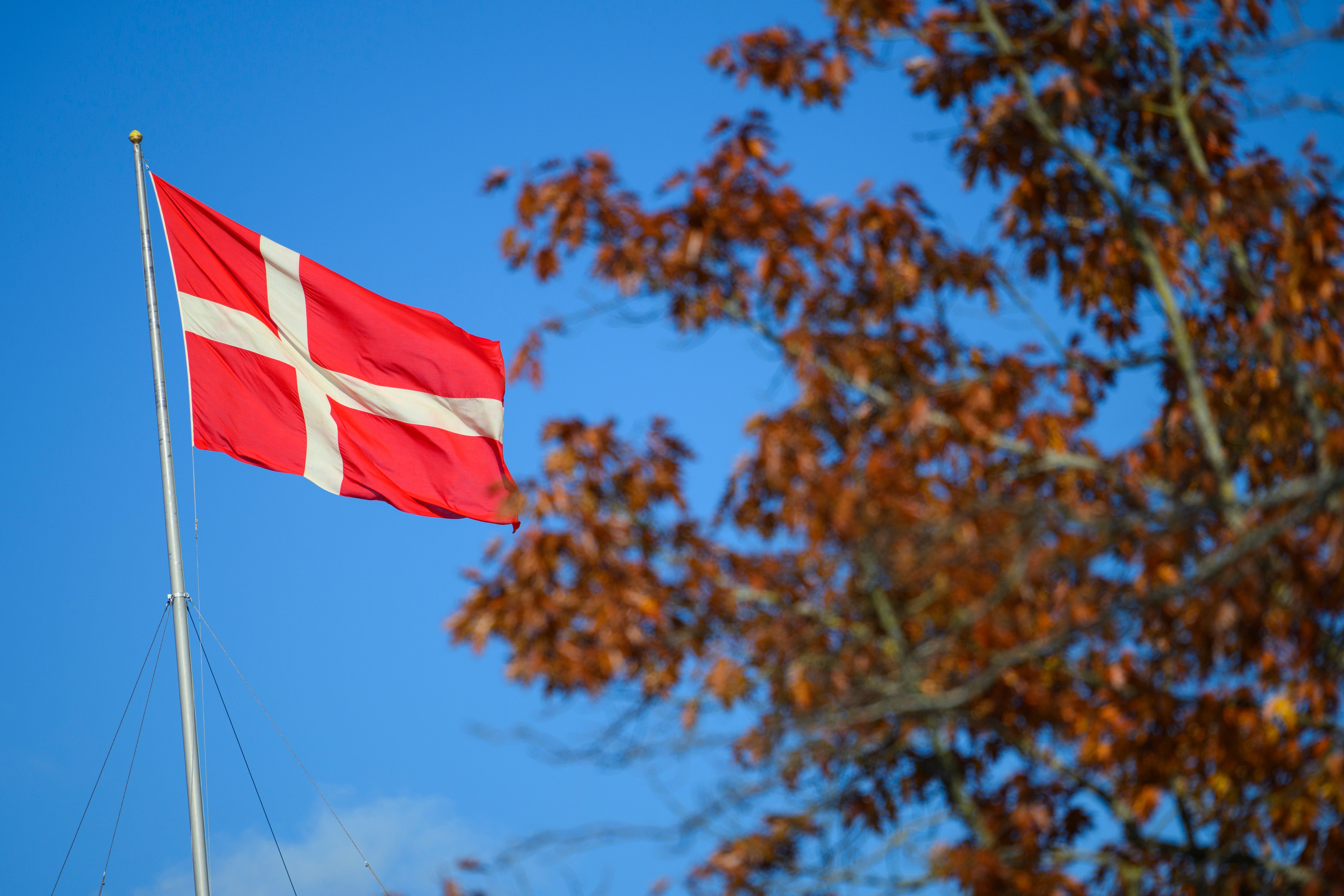 Denmark passes social media ban for users under 15 | FROUSA NEWS Denmark passes social media ban for users under 15 | FROUSA NEWS