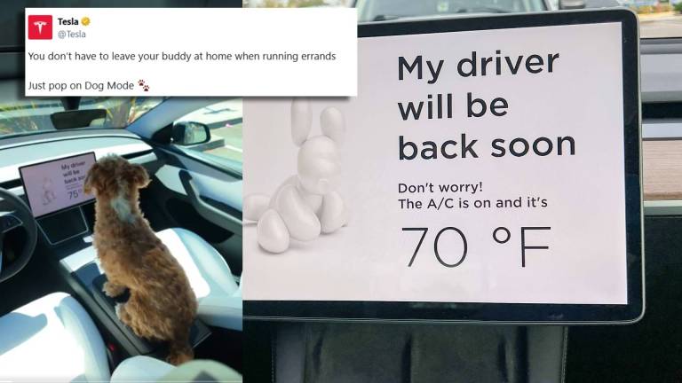 Tesla Has A Dog Mode? Here’s How The EV’s Pet-Friendly Settings Make Car Ride A Joy For Your Furry Friends Tesla Has A Dog Mode? Here’s How The EV’s Pet-Friendly Settings Make Car Ride A Joy For Your Furry Friends