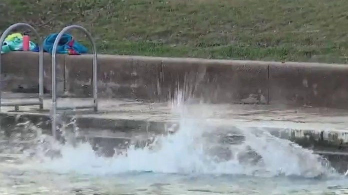 Thousands take the Polar Bear Plunge at Barton Springs Pool Thousands take the Polar Bear Plunge at Barton Springs Pool