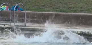 Thousands take the Polar Bear Plunge at Barton Springs Pool