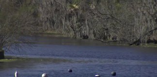 San Marcos City Council considers proposal for controversial data center