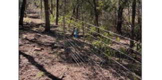 City strengthens conservation efforts at Millican Tract