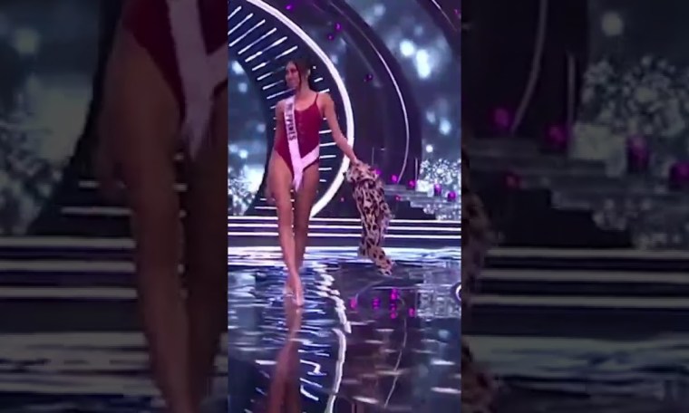 Miss Universe Philippines 2021 Beatrice Gomez, the FIRST openly bisexual contestant from Philippines Miss Universe Philippines 2021 Beatrice Gomez, the FIRST openly bisexual contestant from Philippines