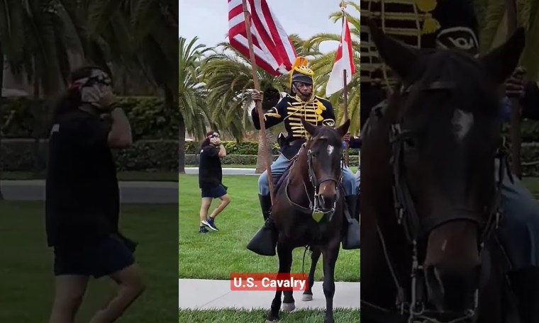 U.S. Cavalry #cavalry #usa #usarmy #shorts U.S. Cavalry #cavalry #usa #usarmy #shorts