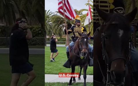 U.S. Cavalry #cavalry #usa #usarmy #shorts U.S. Cavalry #cavalry #usa #usarmy #shorts