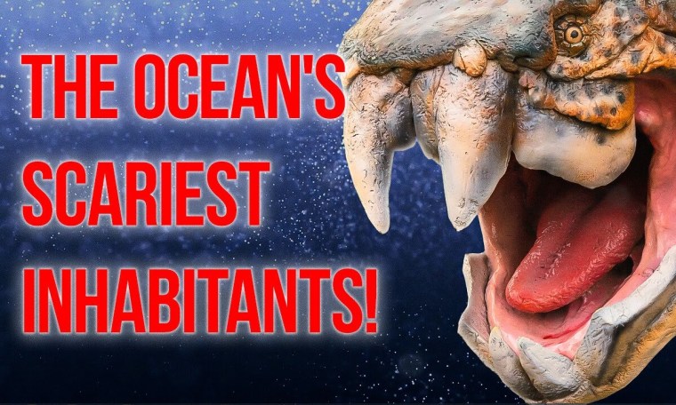 Terrifying Sea Giants You’d Hate to Meet! Terrifying Sea Giants You’d Hate to Meet!