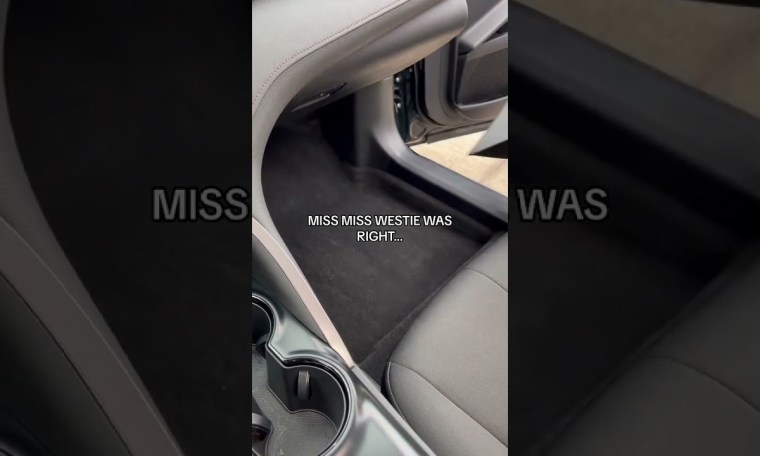 Floor liners are 100% the way to bless your car in seconds! Floor liners are 100% the way to bless your car in seconds!