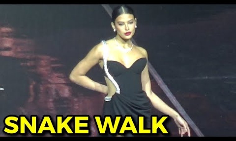 ACTUAL VIDEO ni Michelle Dee “SNAKE WALK” & Best in Long Gown AGAW EKSENA talaga! PANUORIN ACTUAL VIDEO ni Michelle Dee “SNAKE WALK” & Best in Long Gown AGAW EKSENA talaga! PANUORIN