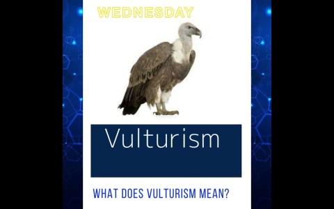 Pageant Question by The Tiara : What does Vulturism mean? #vulturism#vulture Pageant Question by The Tiara : What does Vulturism mean? #vulturism#vulture
