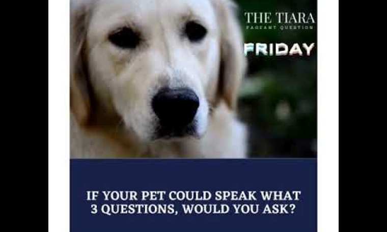 PAGEANT QUESTION ON PETS. BEST PAGEANT COACHING BY THE TIARA FOR MISS INDIA/DIVA MRS INDIA 2021/22 PAGEANT QUESTION ON PETS. BEST PAGEANT COACHING BY THE TIARA FOR MISS INDIA/DIVA MRS INDIA 2021/22